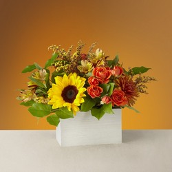 The FTD Golden Hour Bouquet From Rogue River Florist, Grant's Pass Flower Delivery